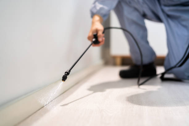 Licensed Cockroach Control service in Sherman, TX - Nex Pest Control