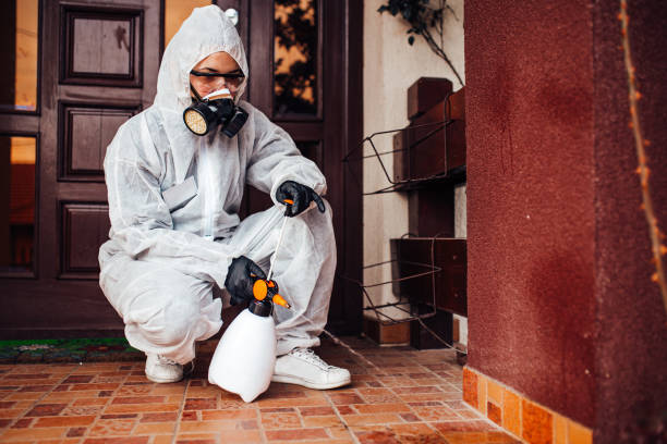 Reliable Cockroach Control contractor in Sherman, TX by Nex Pest Control
